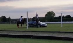 จบแบบคาดไม่ถึง! ชม Tesla Model S ปะทะ ม้า ในการแข่งขันสุดแปลก (คลิป)