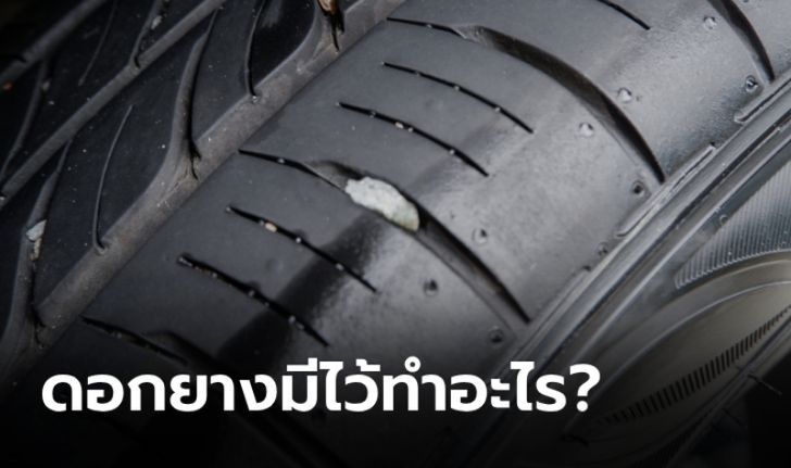 เพิ่งจะรู้! "ดอกยาง" ไม่ได้ช่วยให้รถเกาะถนน