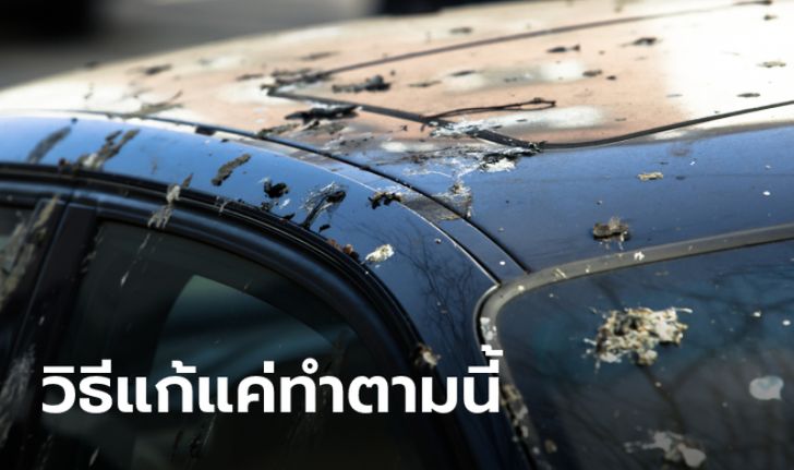 วิธีแก้ปัญหา "ขี้นก-รอยขนแมว" ง่ายๆ แค่ทำตามนี้