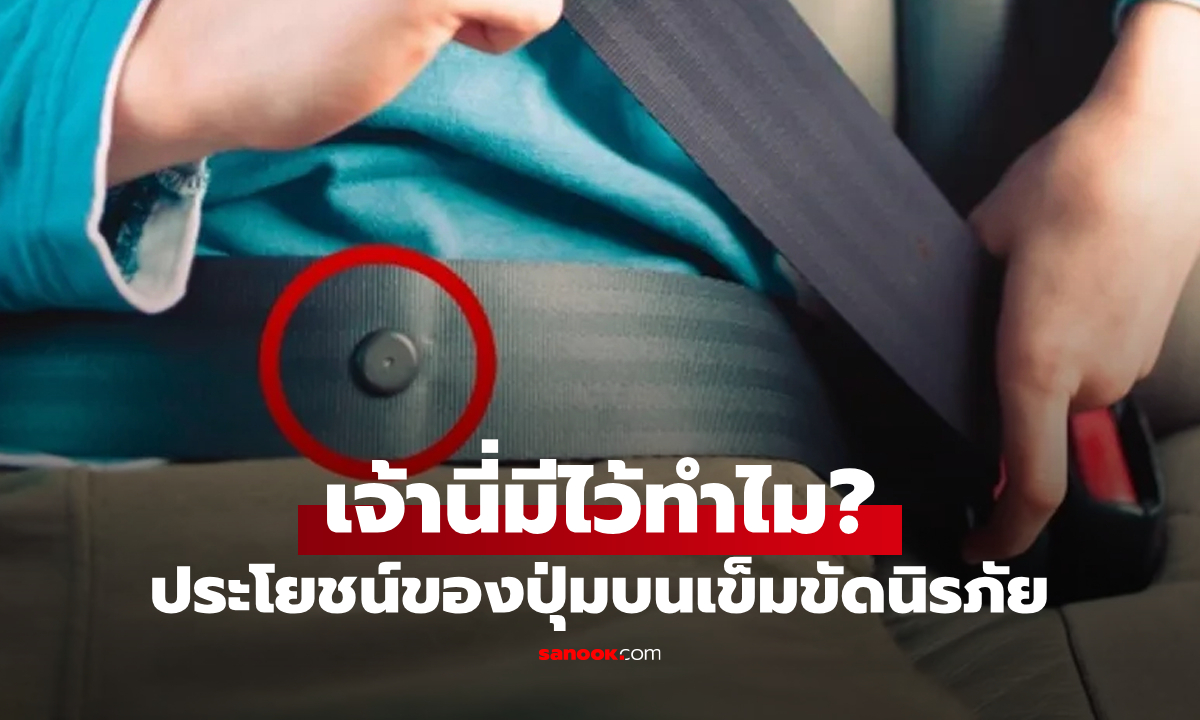 ปุ่มบนสายเข็มขัดนิรภัย มีไว้ทำอะไร? สิ่งเล็กๆ แต่มีหน้าที่สำคัญกว่าที่คิด!