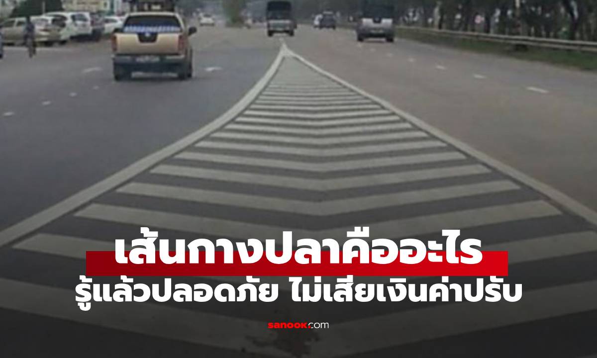 เส้นก้างปลา คืออะไร รู้แล้วใช้เป็นปลอดภัยแน่นอน