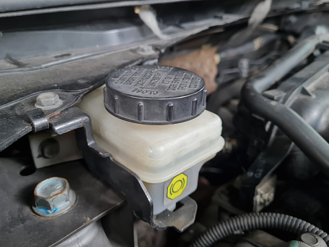 gettyimages-1391956541-170667