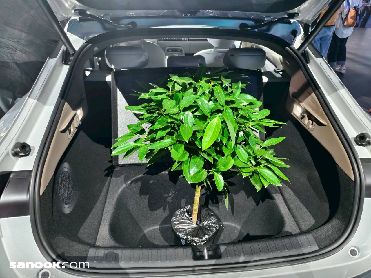 batch_line_album_a06_250905_2_4