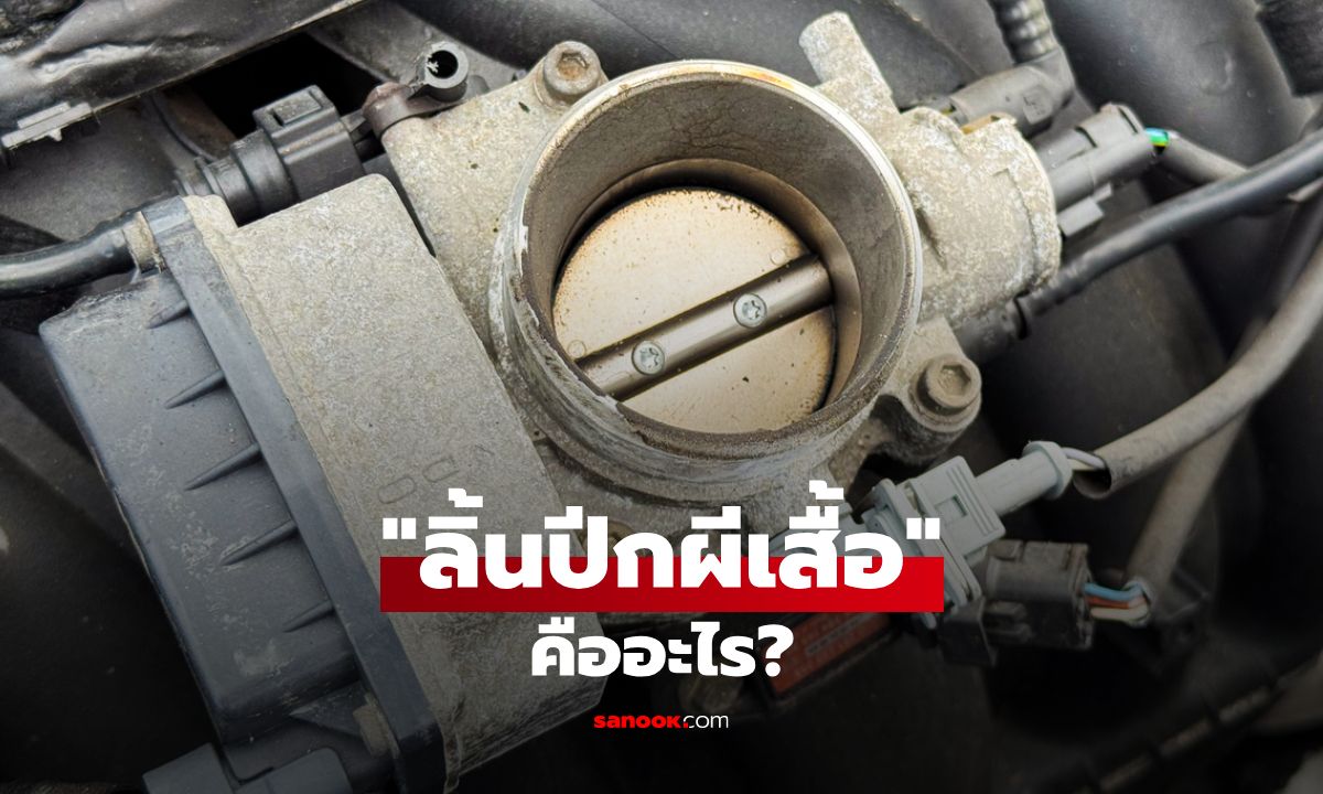 "ลิ้นปีกผีเสื้อ" คืออะไร? เจาะลึกชิ้นส่วนสำคัญที่หลายคนไม่รู้จัก