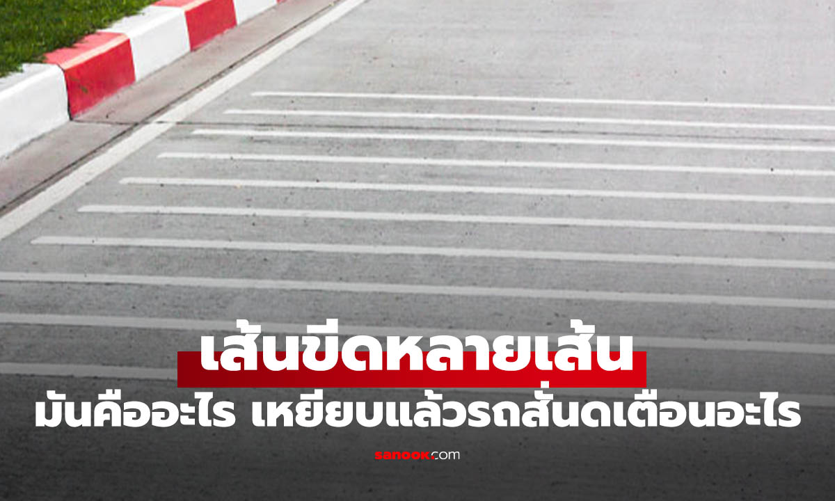 เฉลย "เส้นขาวหลายเส้น" แนวนอนบนถนนคืออะไร? ความลับที่ช่วยรักษาชีวิตคุณได้