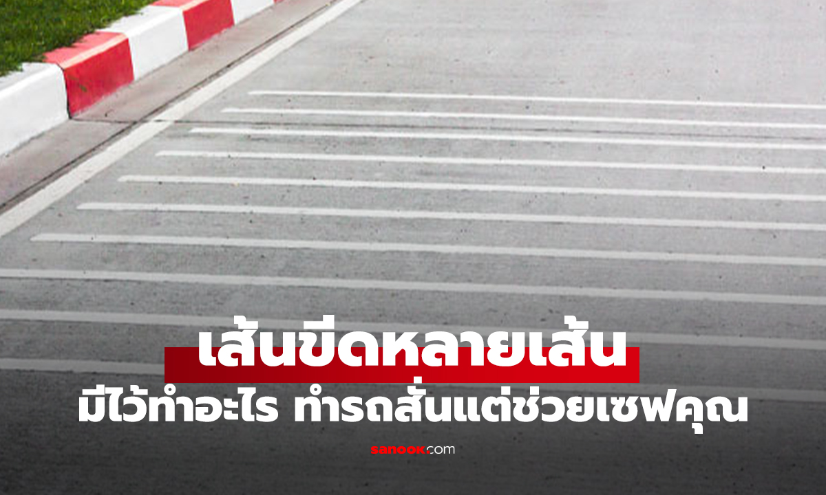 เฉลย "เส้นขาวหลายเส้น" แนวนอนบนถนนคืออะไร? ความลับที่ช่วยรักษาชีวิตคุณได้