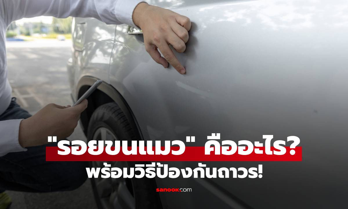 ภาพ"รอยขนแมว" คืออะไร? หนึ่งในปัญหากวนใจของคนรักรถ พร้อมวิธีป้องกันถาวร!