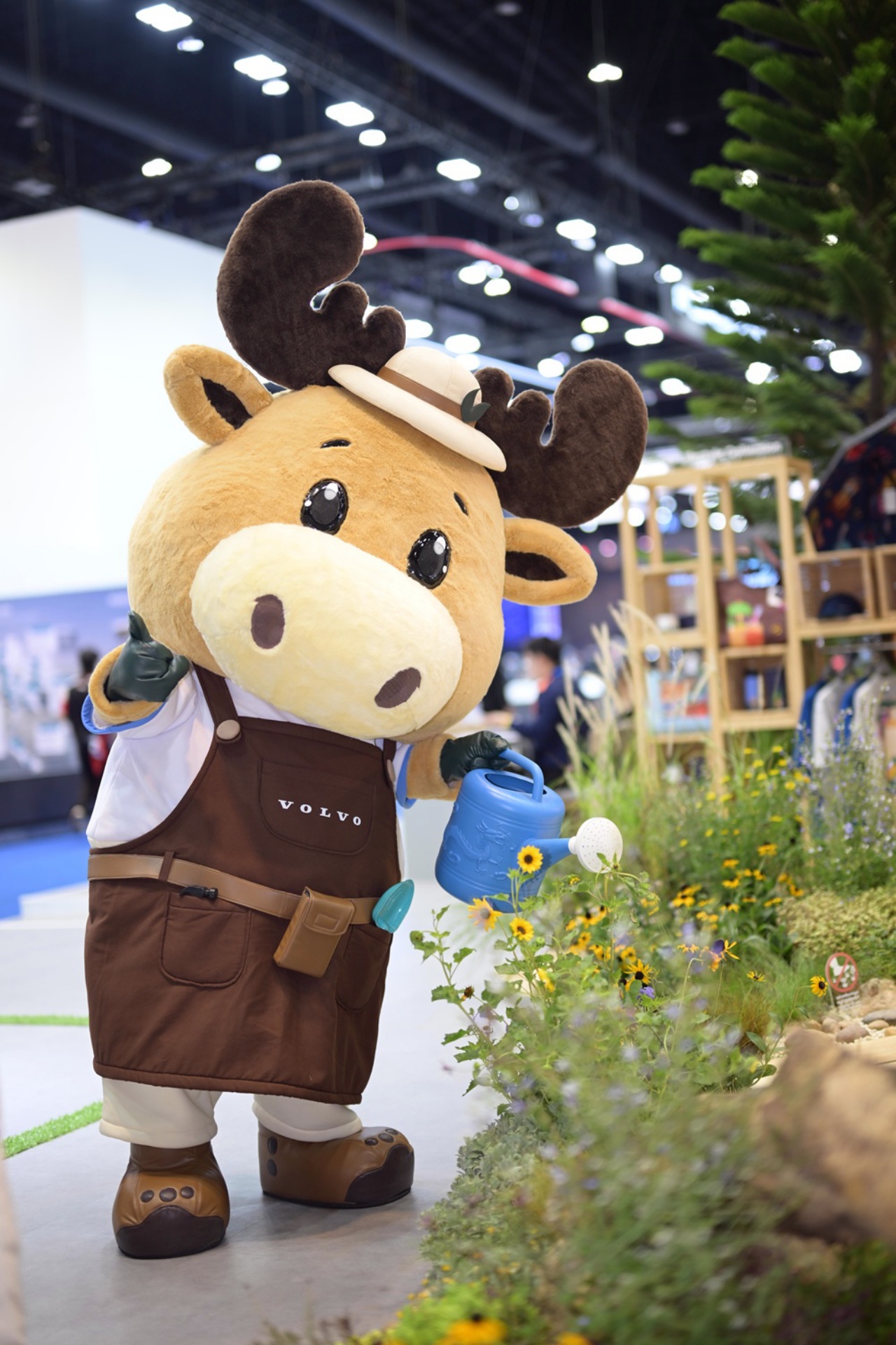 volvoscandinaviansummerhou_2