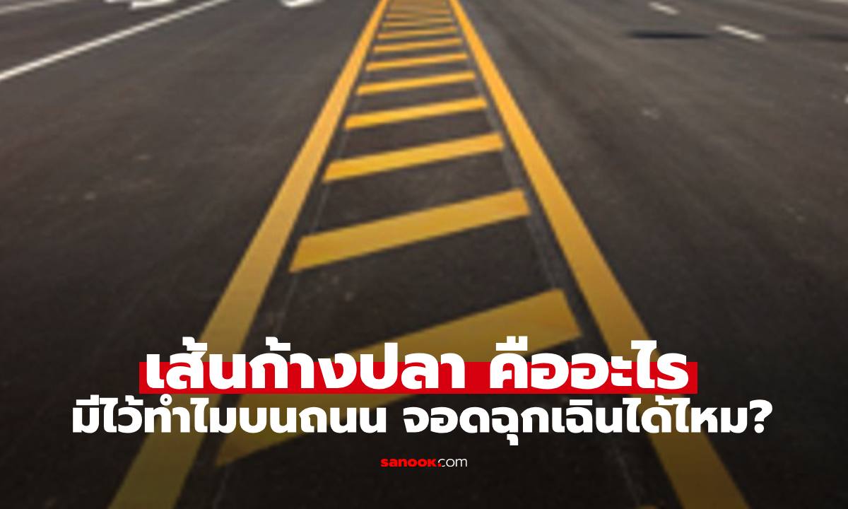 "เส้นก้างปลา" บนถนนจริงๆ คืออะไร มีไว้ทำไม สามารถจอดฉุกเฉินได้หรือไม่
