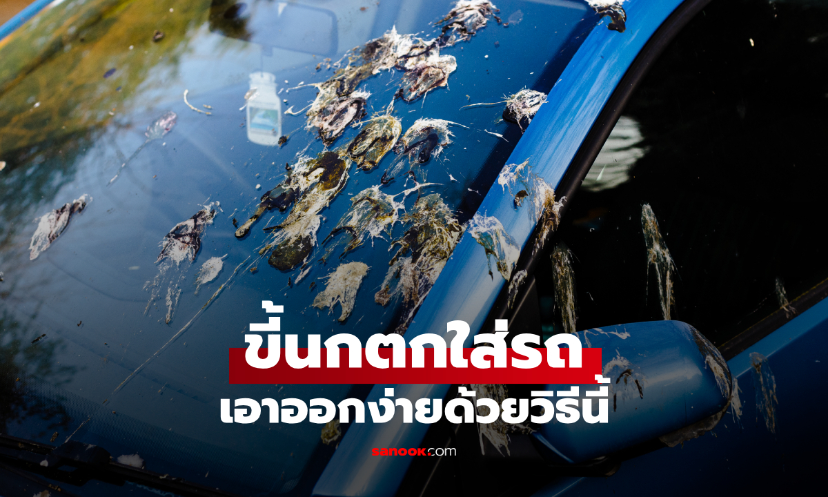 ขี้นกตกใส่รถ เช็ดยังไงให้ถูก? สีรถไม่เป็นรอย ไม่ทิ้งคราบด่าง