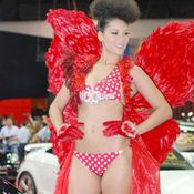 BRG : Motor expo 2010