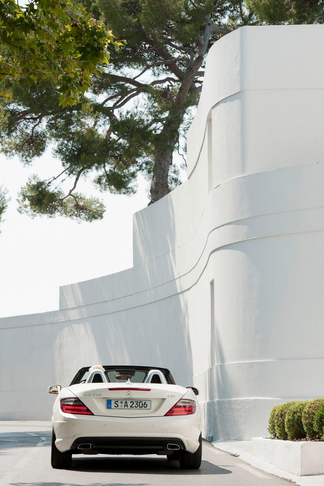 Mercedes Benz SLK 250 CDI