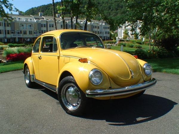 Volkswagen Beetle 