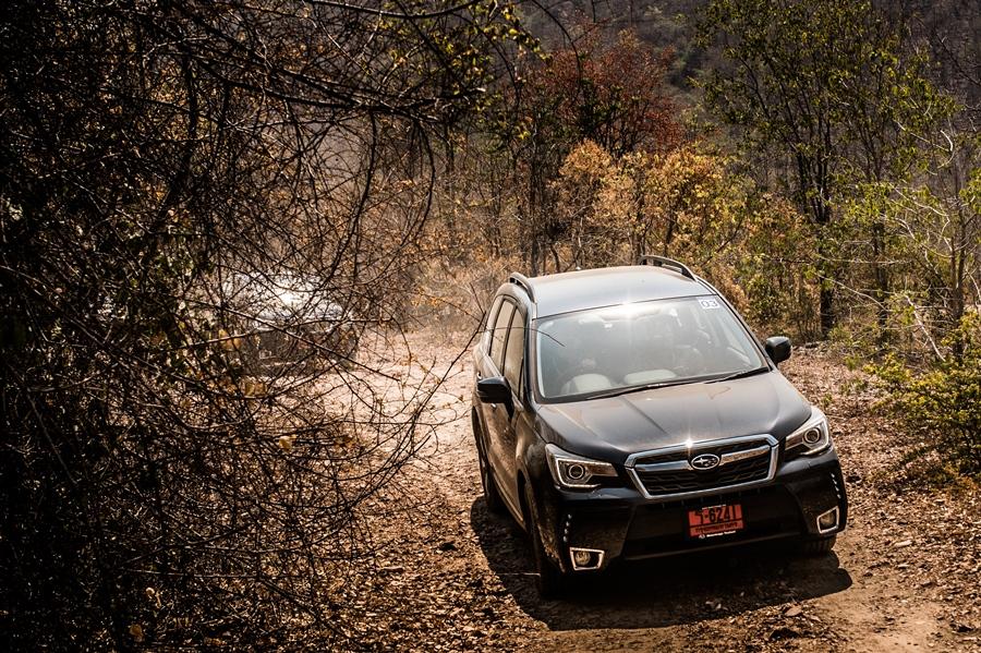 Subaru Forester 2016