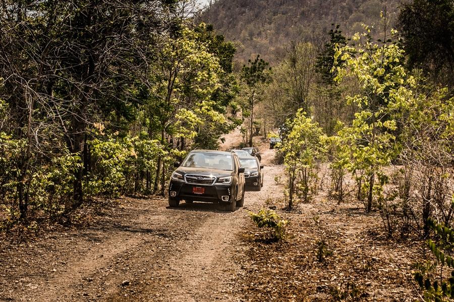 Subaru Forester 2016