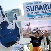 Subaru Palm Challenge 2016