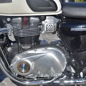 Triumph Street Cup/Bonneville T100 