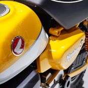 Honda Monkey 125 Concept