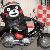 Honda Kumamon Cub 2019 