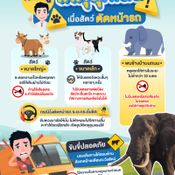 สัตว์วิ่งตัดหน้าควรทำอย่างไร?