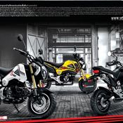 ชุดแต่ง Honda MSX125