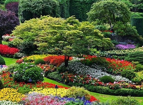 garden-of-eden-made-by-people09.jpg อัลบั้ม ขายไอเดีย สวน  