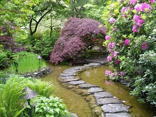 garden-of-eden-made-by-people11.jpg อัลบั้ม ขายไอเดีย สวน  