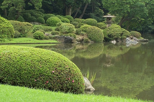garden-of-eden-made-by-people16.jpg อัลบั้ม ขายไอเดีย สวน  