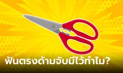 เฉลยแล้ว! ฟันที่ด้ามจับกรรไกร มีไว้ทำอะไร ใช้มาตั้งนานเพิ่งจะรู้