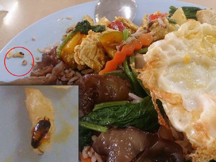 นศ.ขอบ่น! ไม่ไหวจะเคลียร์กับ "ความสกปรกของโรงอาหาร ม.ดังท่าพระจันทร์"