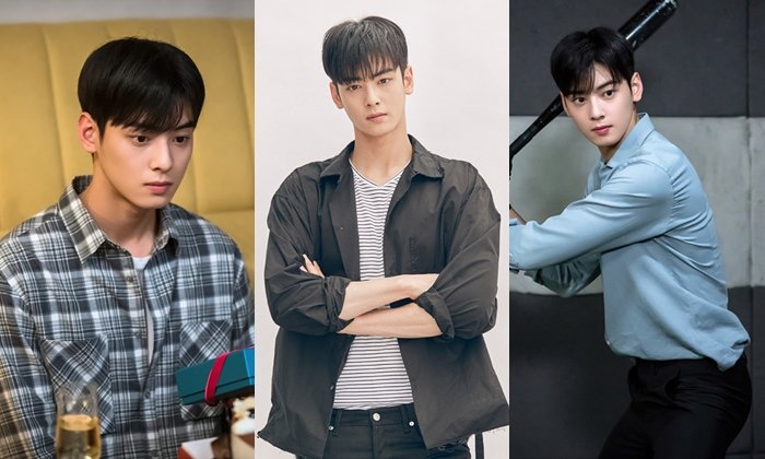 เปิดประวัติ "ชา อึนอู" หนุ่มหล่อเกาหลี จาก My ID is Gangnam Beauty