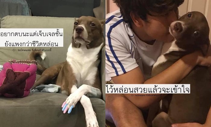 "ปลาทูหมาหน้าจิกไม่เกรงใจไข่" เน็ตไอดอลสี่ขาที่จิกกล้องแตกเฟียสทุกรูปจริงๆ