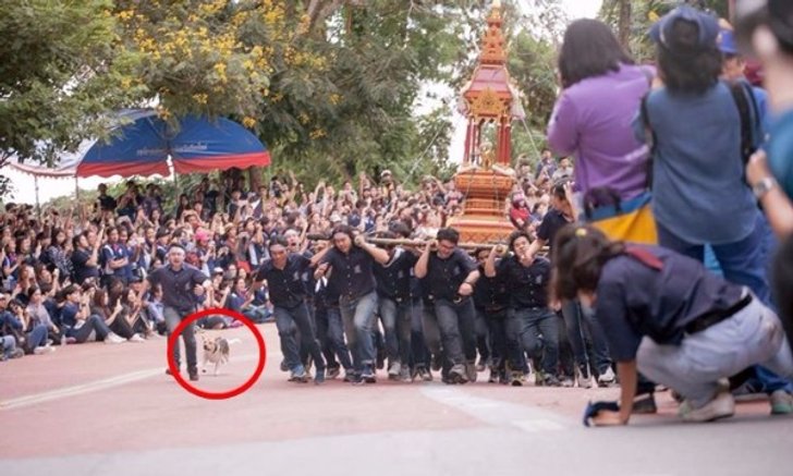 2 หมาขาแว๊นซ์ "พี่เตี้ย-พี่เบื่อ" ซิกเนเจอร์งานประเพณี "รับน้องขึ้นดอย" ชาว มช.