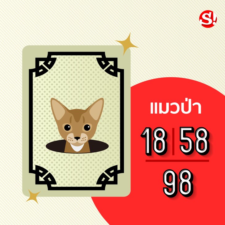 My Image 29