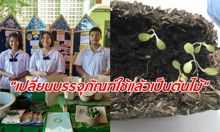 เด็กไทยไม่ธรรมดา นักเรียนระยองคิดบรรจุภัณฑ์ช่วยโลก ได้รางวัลระดับชาติ