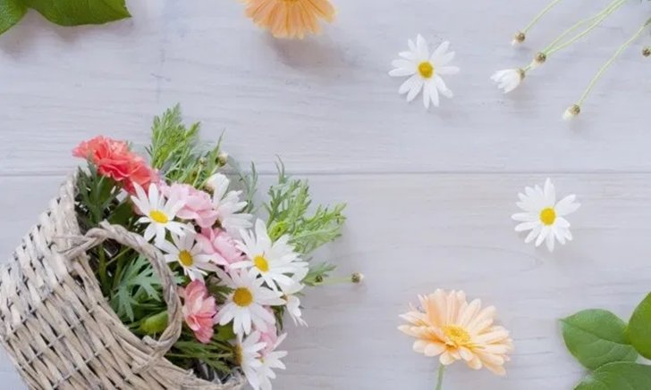 รวมดอกไม้ที่มีความหมายว่า “รัก” ของคนญี่ปุ่น
