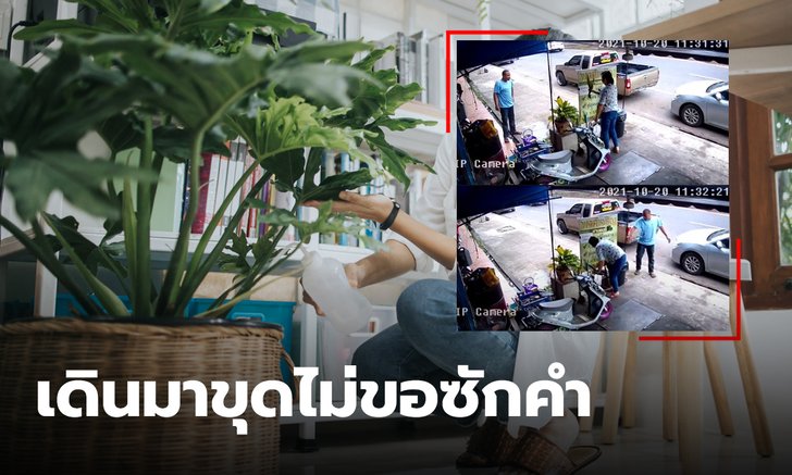 ถ้าป้าจะลัก นั่งเฉยๆ ป้าก็ลัก คุณป้าขุดต้นไม้บ้านคนอื่น เจ้าของนั่งหัวโด่ ไม่ขอซักคำ