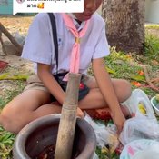 เข้าค่ายลูกเสือ
