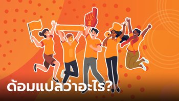 ด้อม แปลว่าอะไร มาจากไหน ความหมายในการใช้งานของมันคืออะไร