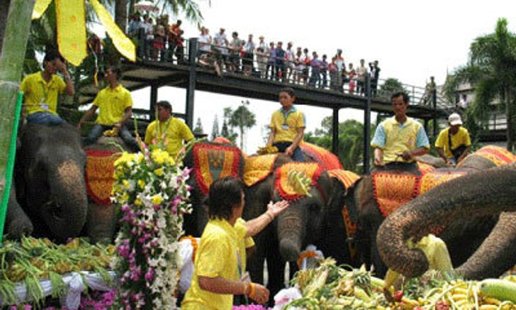 เปิดประวัติ "วันช้างไทย" 13 มีนาคม ในทุกปี