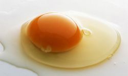 ไข่ดิบบำรุงร่างกายจริงหรือ
