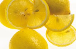 ฆ่าเชื้อโรค ด้วยเปลือกเลมอน (Lemon)