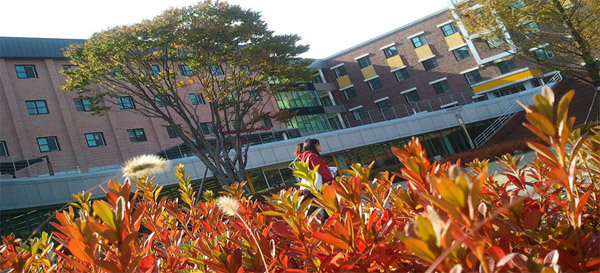 มหาวิทยาลัยเซ-มยอง