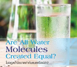 โมเลกุลน้ำมีขนาดเท่ากันหมดหรือเปล่า?
