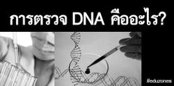 การตรวจ DNA คืออะไร?