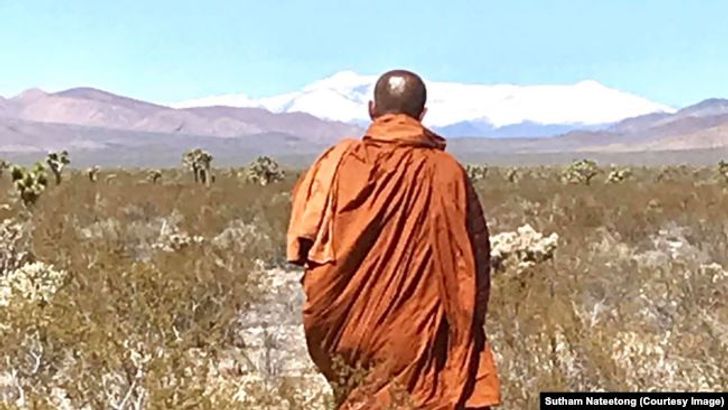 31ccc063-0f72-4266-8f80-14db8