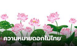 13 ความหมายดอกไม้ไทย แต่ละดอกสื่อความหมายถึงอะไร