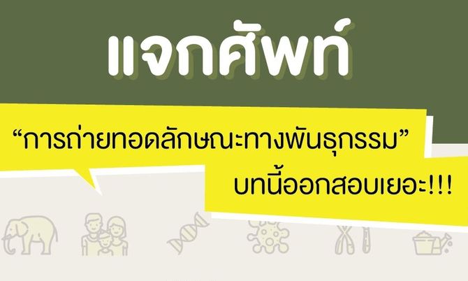 แจกศัพท์ การถ่ายทอดลักษณะทางพันธุกรรม บทนี้ออกสอบเยอะ