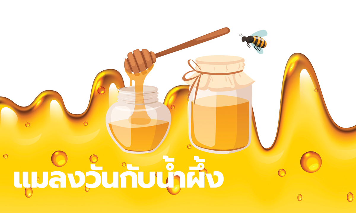 นิทานอีสป : นิทานเรื่อง แมลงวันกับน้ำผึ้ง