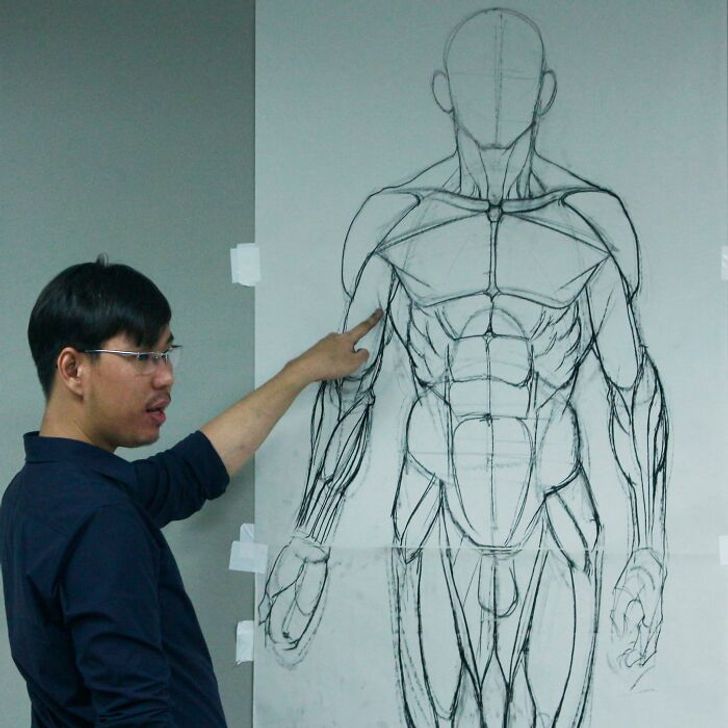 ART of Anatomy